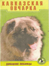 Кавказская овчарка